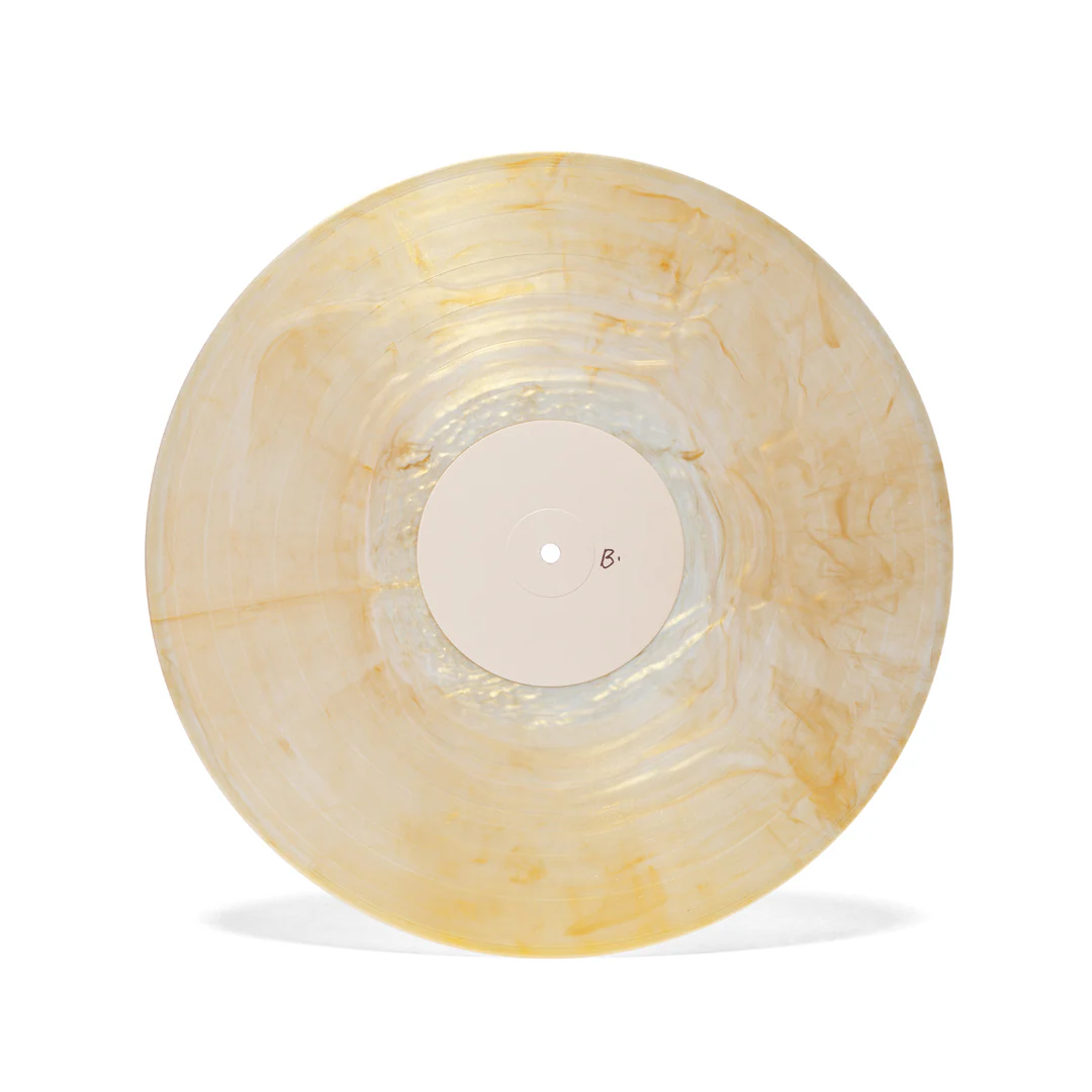 Banjo and Kazooie Vinyl Soundtrack 2xLP Reissue - Image 10