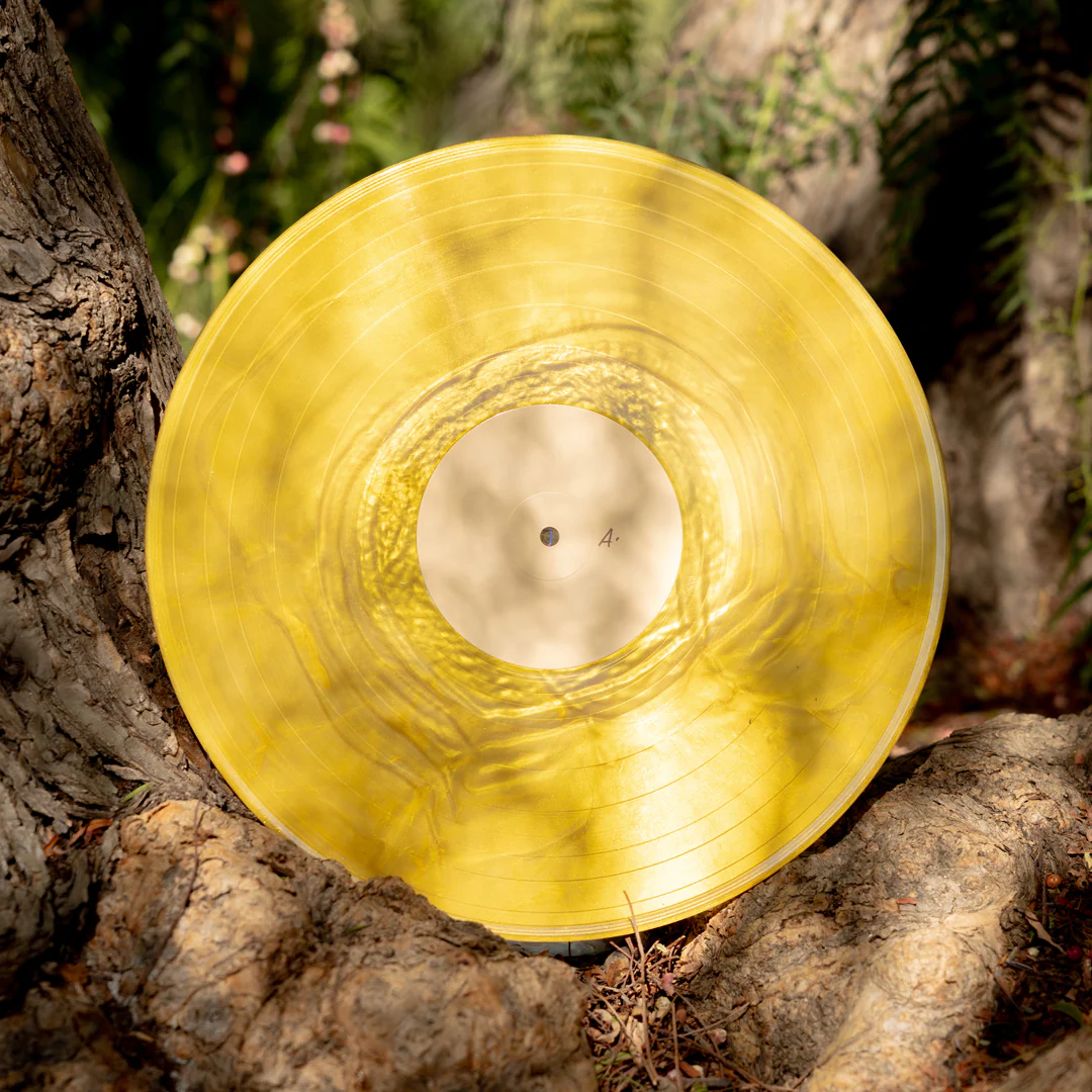 Banjo and Kazooie Vinyl Soundtrack 2xLP Reissue - Image 4