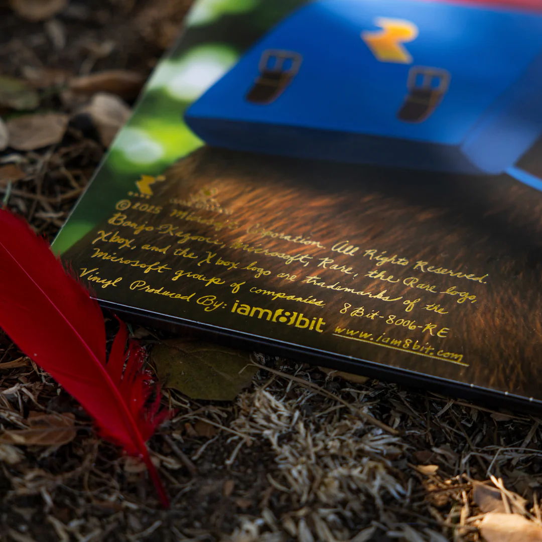 Banjo and Kazooie Vinyl Soundtrack 2xLP Reissue - Image 5