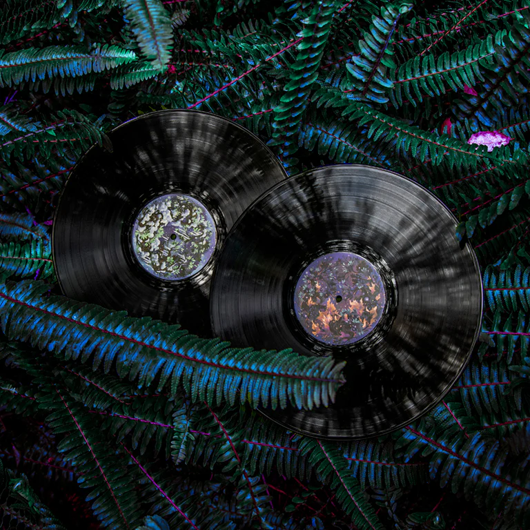 Ori and the Blind Forest 2xLP (2020 Re-issue) - Image 10